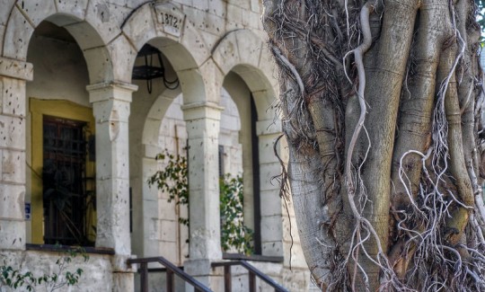 קרדיט: ג'ני כצנר