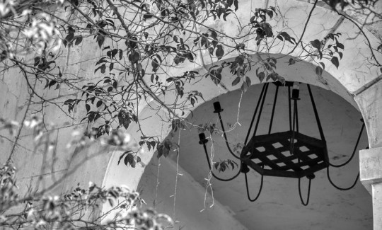 קרדיט: ג'ני כצנר