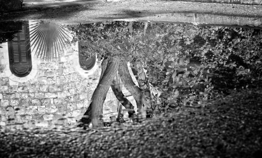 קרדיט: ג'ני כצנר