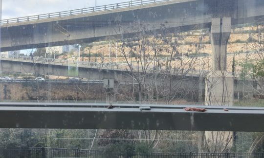 קרדיט: אודין שדמי