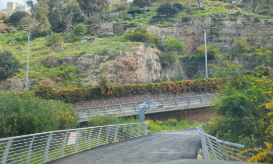 קרדיט: אודין שדמי