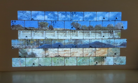 קרדיט: אודין שדמי