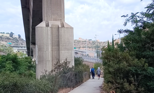 קרדיט: דניאלה צדיק