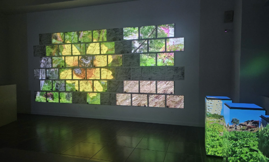 קרדיט: יפעת אשכנזי