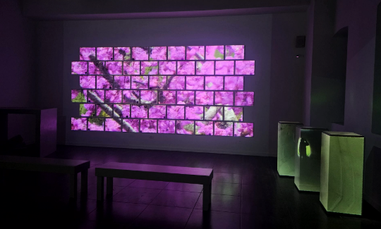 קרדיט: יפעת אשכנזי