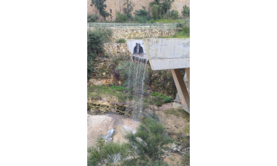 קרדיט: אודין שדמי