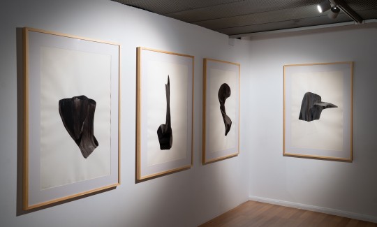 מוזיאון טיקוטין לאמנות