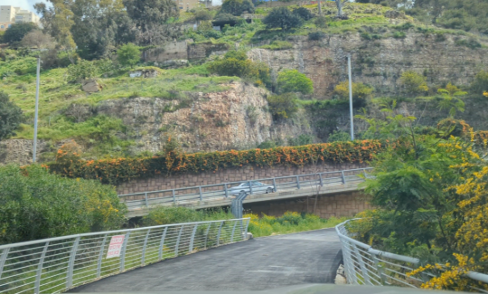 קרדיט: אודין שדמי 