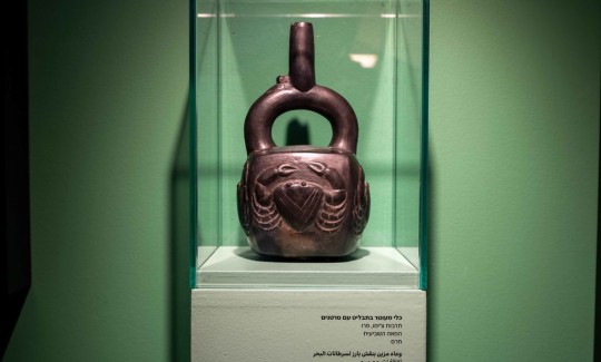 מתוך תערוכת "דגים ודייגים