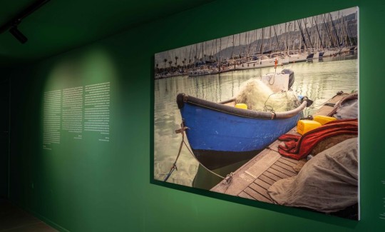 מתוך תערוכת "דגים ודייגים