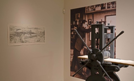 מתוך תערוכת "צל עץ תמר: הדפס