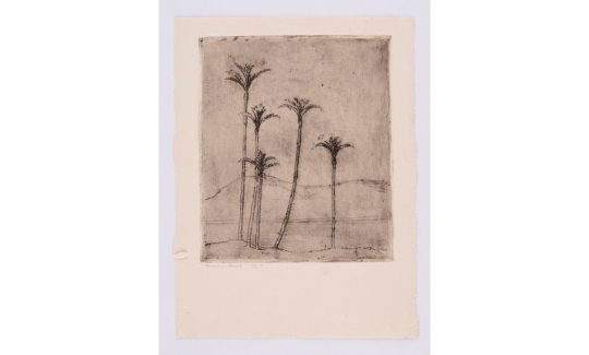 הרמן שטרוק, חיפה, XVIII, 1924