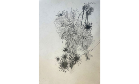 Nivi Alroy, “Side-branches of Time”, 2024