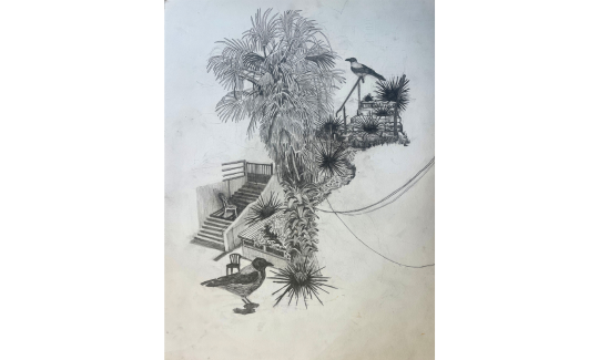 Nivi Alroy, “Side-branches of Time”, 2024