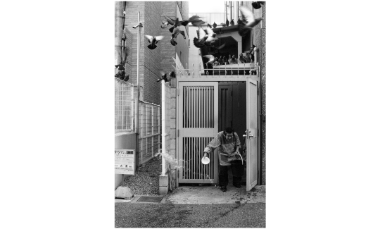 "Только ее друзья"  Майкл