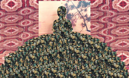 راحيل أنيو: شخصيّة تصحو إلى