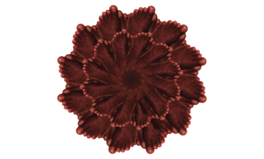 راحيل أنيو: شخصيّة تصحو إلى