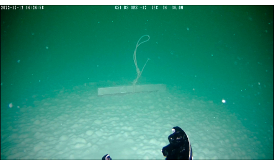 אלה ליטביץ, מתוך: