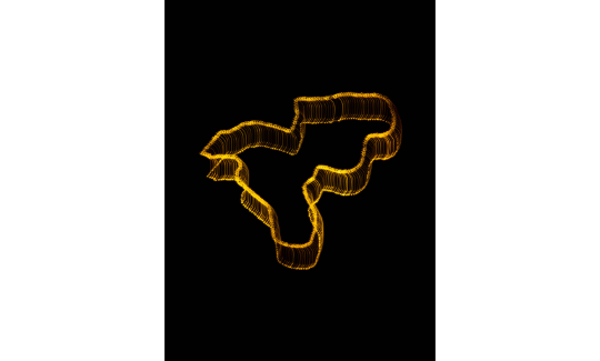 הדר סייפן, פטרולים בסטודיו