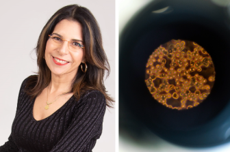 ד"ר סילביה מנדל - סיכומי הרצאות