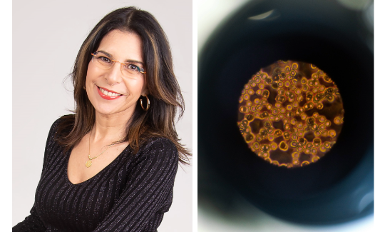  ד"ר סילביה מנדל