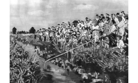 פאינה פייגן ונגה אור ים, עמק