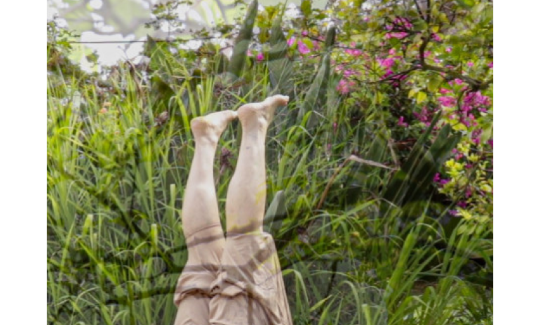 אלינורה שוורץ, עץ חי, מחווה