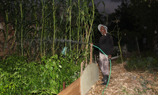 ائتمان: ريفكا بلاي