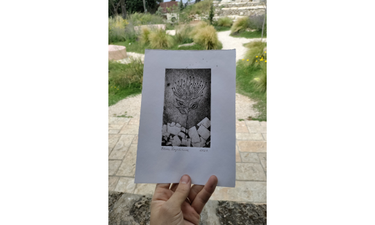 קרדיט: ליאב שופן