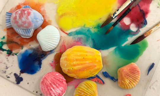 קרדיט: ג'ני כצנר