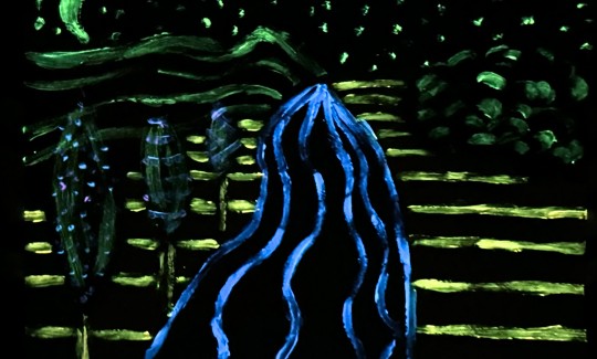 تصوير: جيني كاتزنر