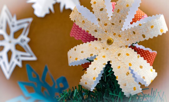 Фото: Евгения Кацнер