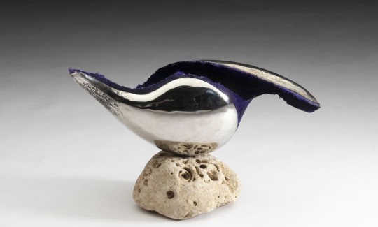 זיכרון של גל, נובויה