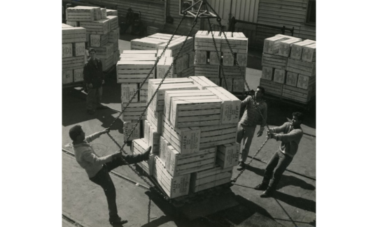 Photo Sadeh, Haifa Haifa Port - Longshoreme