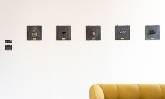 צילום: עדי לם