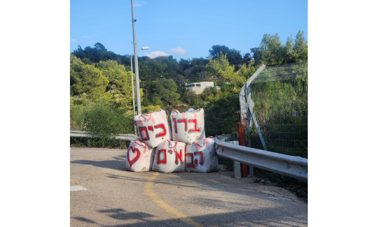 מיכל לפיד, תערוכת "קריטי