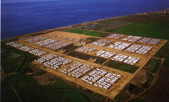 פאינה פייגין, תערוכת "קריטי