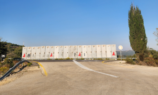 מיכל לפיד, תערוכת "קריטי