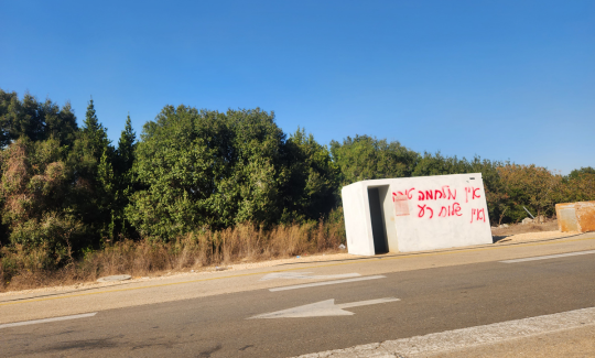 מיכל לפיד, תערוכת "קריטי