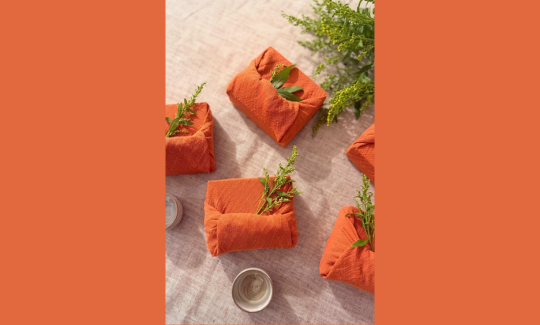 קרדיט: אפרת בראשי מפן 