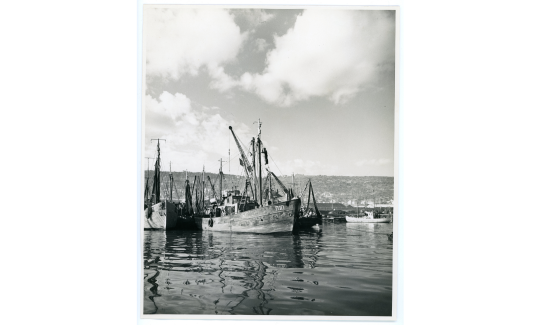 Unknown photographer, Kishon Harbor, October 1963
