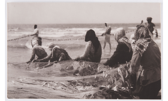 Unknown photographer, Fishermen Gathering a Large