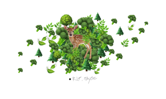 Or Drori, Three Nasty Files, 2025