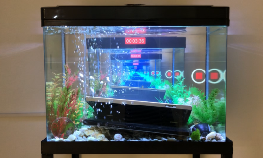 Neta Moses, How To Enjoy Nature (go outside