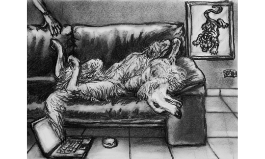 Izabella Volovnik, Enough internet for today