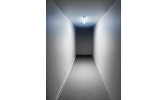 רועי כהן, תודה שבאתם, תישארו