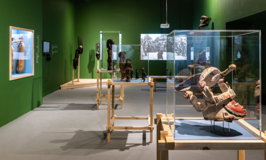 צילום: אלי פוזנר