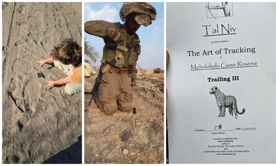 קרדיט: טל ניב