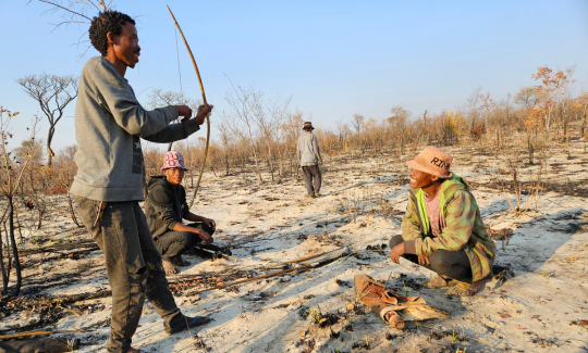 קרדיט: טל ניב