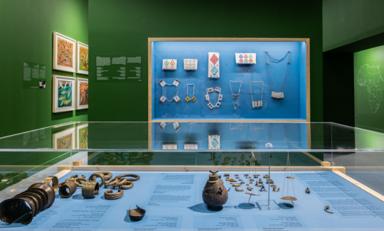 צילום: אלי פוזנר